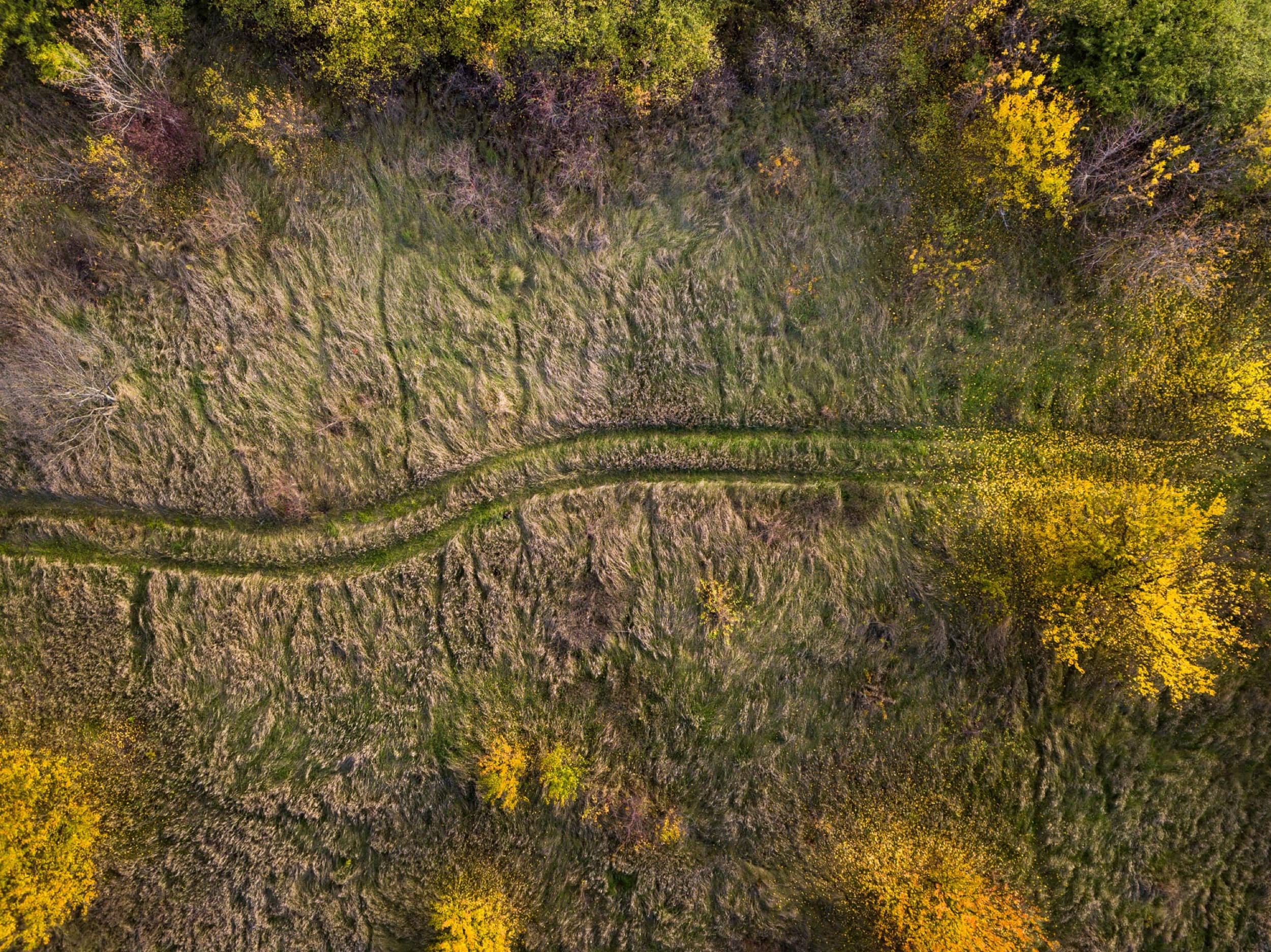 Autumn landscape from drone above dirt road and trees.